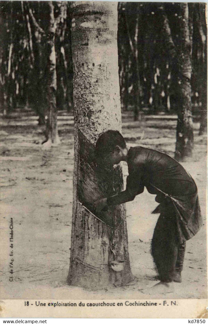 Une Exloittion De Caoutchouc En Cochinchine - Vietnam