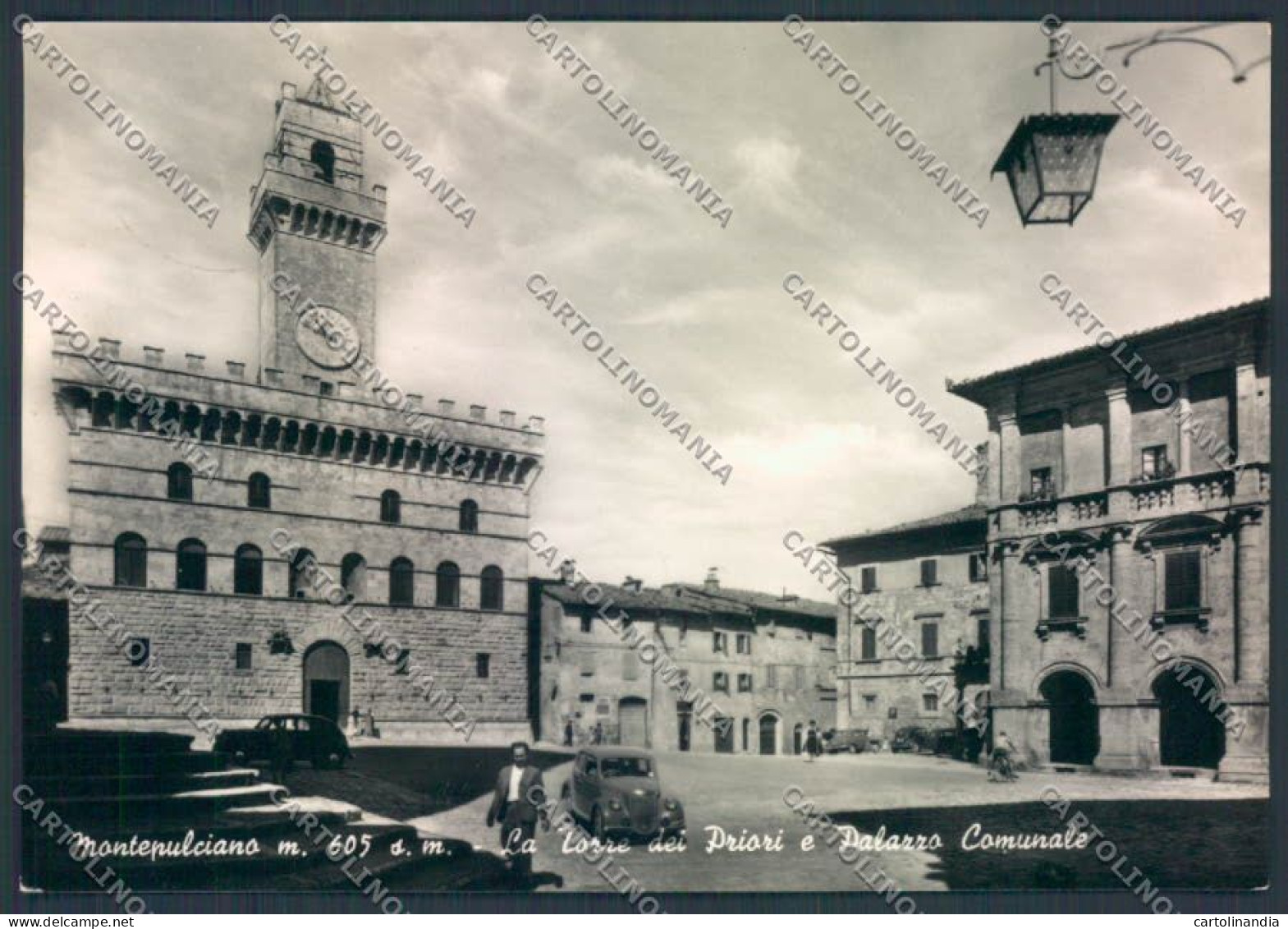 Siena Montepulciano Foto FG Cartolina ZF4529 - Siena