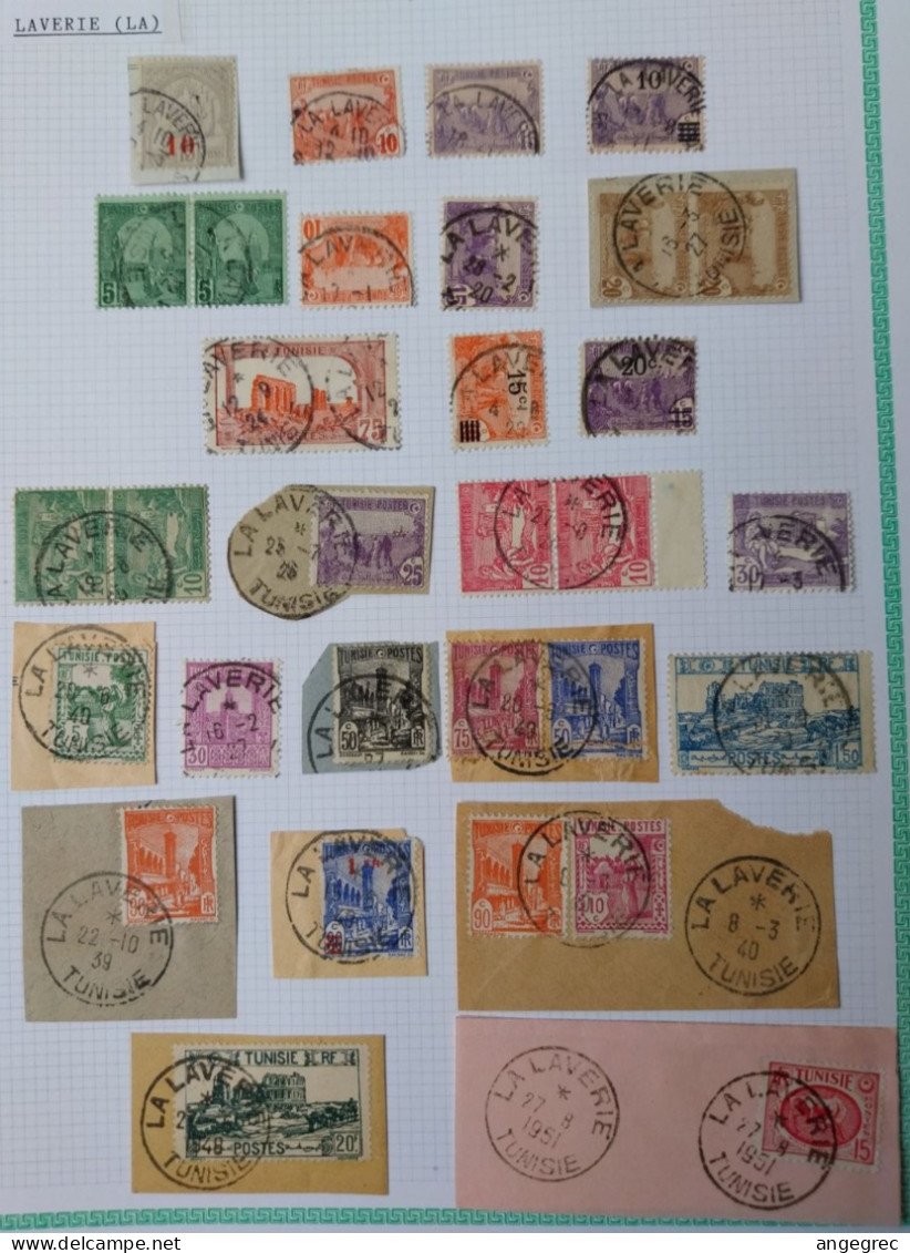 Tunisie Lot Timbre Oblitération Choisies Laverie (La) Dont Fragment à Voir - Used Stamps