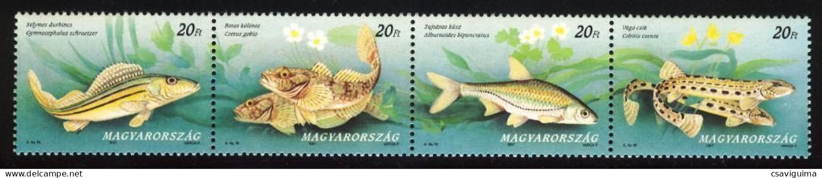 Hungary (Hongrie) - 1997 - Fish - Yv 3594/97 - Pesci