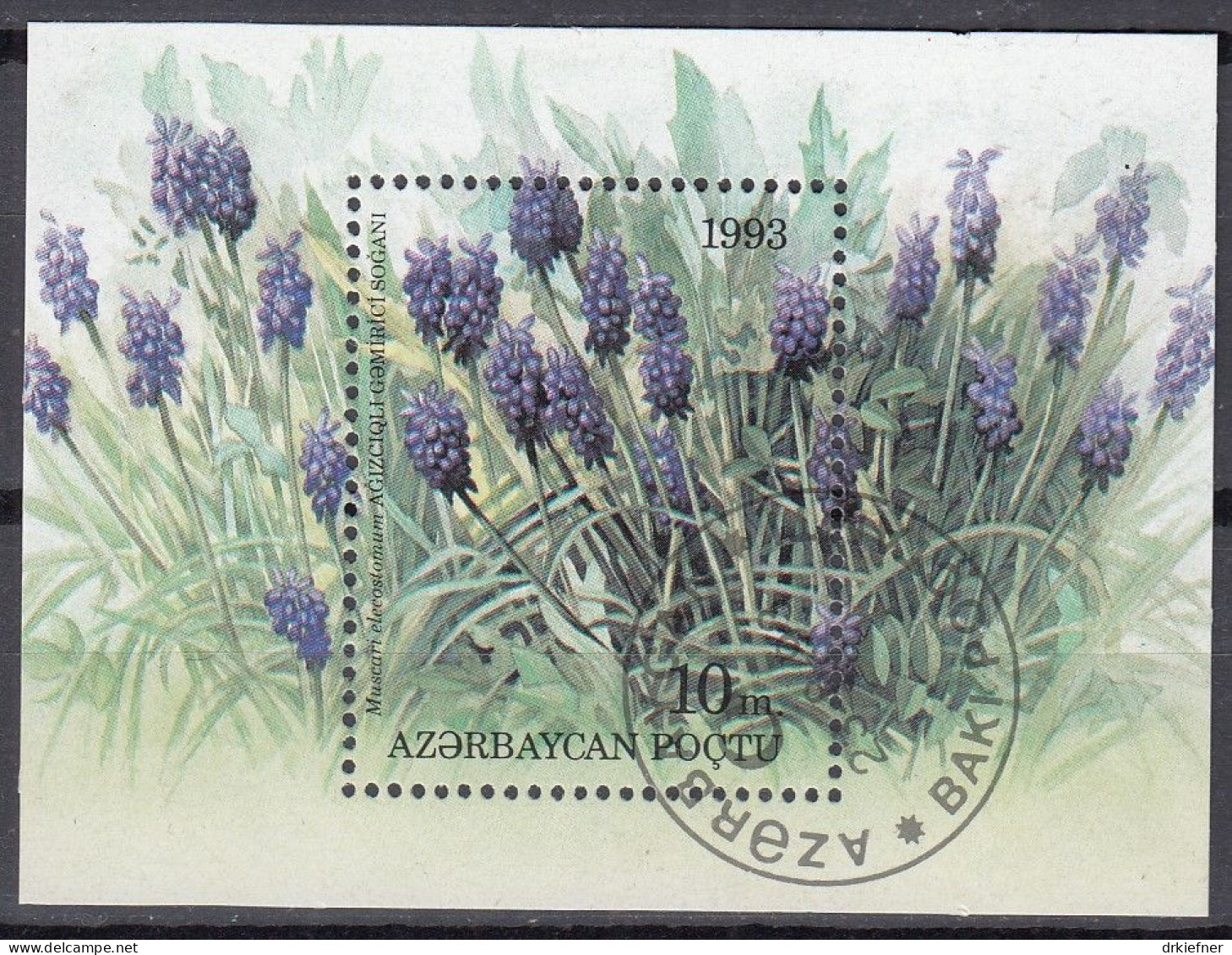 ASERBAIDSCHAN   Block 2, Gestempelt, Einheimische Flora, 1993 - Azerbaïdjan