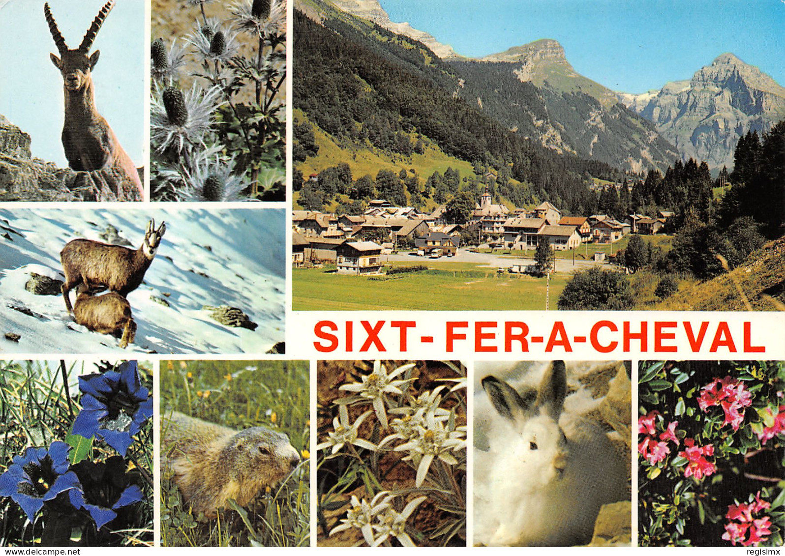 74-SIXT FER A CHEVAL-N°3447-D/0289 - Sixt-Fer-à-Cheval