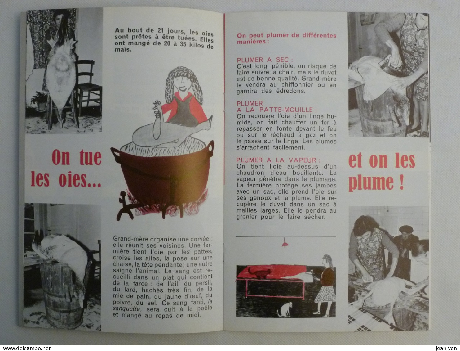 OISEAU / OIE - Fermière Gavant Une Oie - Elevage Oies - Livret Bibliothèque De Travail Junior BTJ - Décembre 1972 - Animali