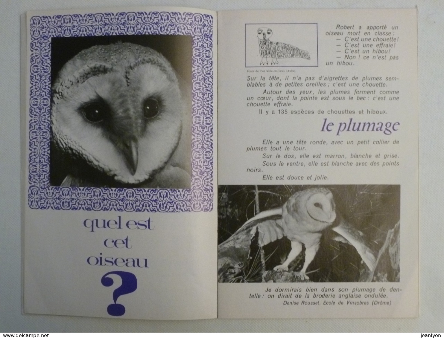 CHOUETTES ET HIBOUX - Chouette Hulotte - Livret Bibliothèque De Travail Junior BTJ - Novembre 1966 - Tiere