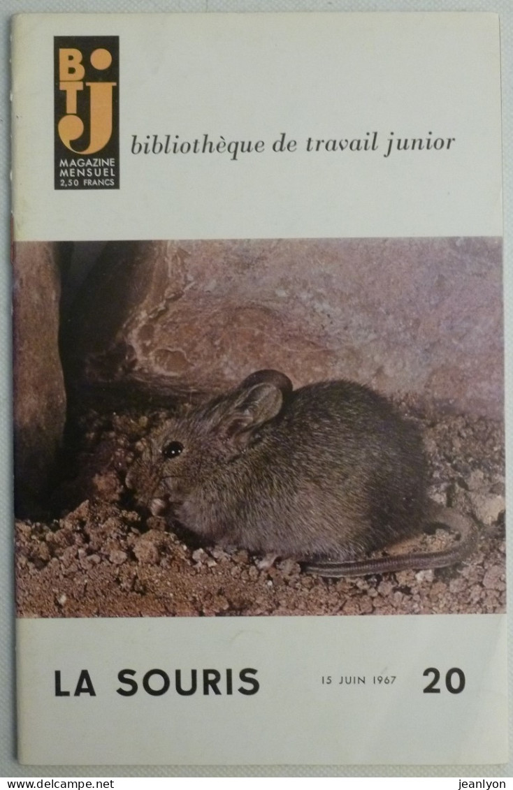 SOURIS / RONGEUR - Livret Bibliothèque De Travail Junior BTJ - Juin 1967 - Animales