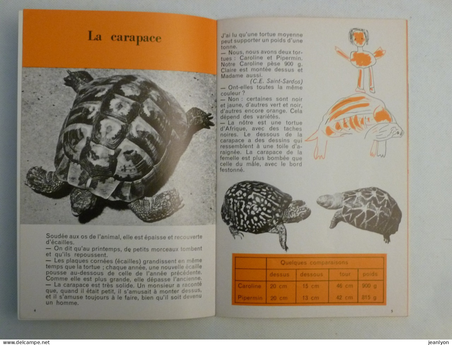 TORTUE TERRESTRE - Livret Bibliothèque De Travail Junior BTJ - Juin 1969 - Animaux