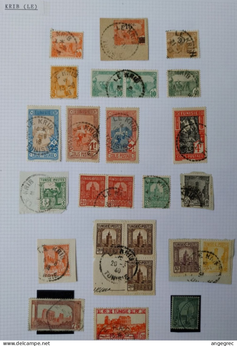 Tunisie Lot Timbre Oblitération Choisies Krib (Le)   Dont Fragment, Cachet Bleu   à Voir - Used Stamps