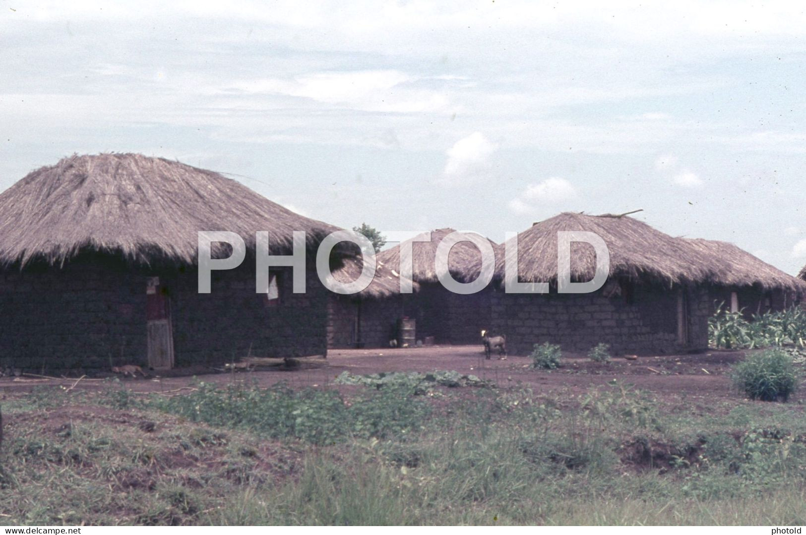 44 SLIDES SET 1968 ANGOLA AFRICA AFRIQUE ORIGINAL AMATEUR 35mm DIAPOSITIVE SLIDE not PHOTO no FOTO NB4060