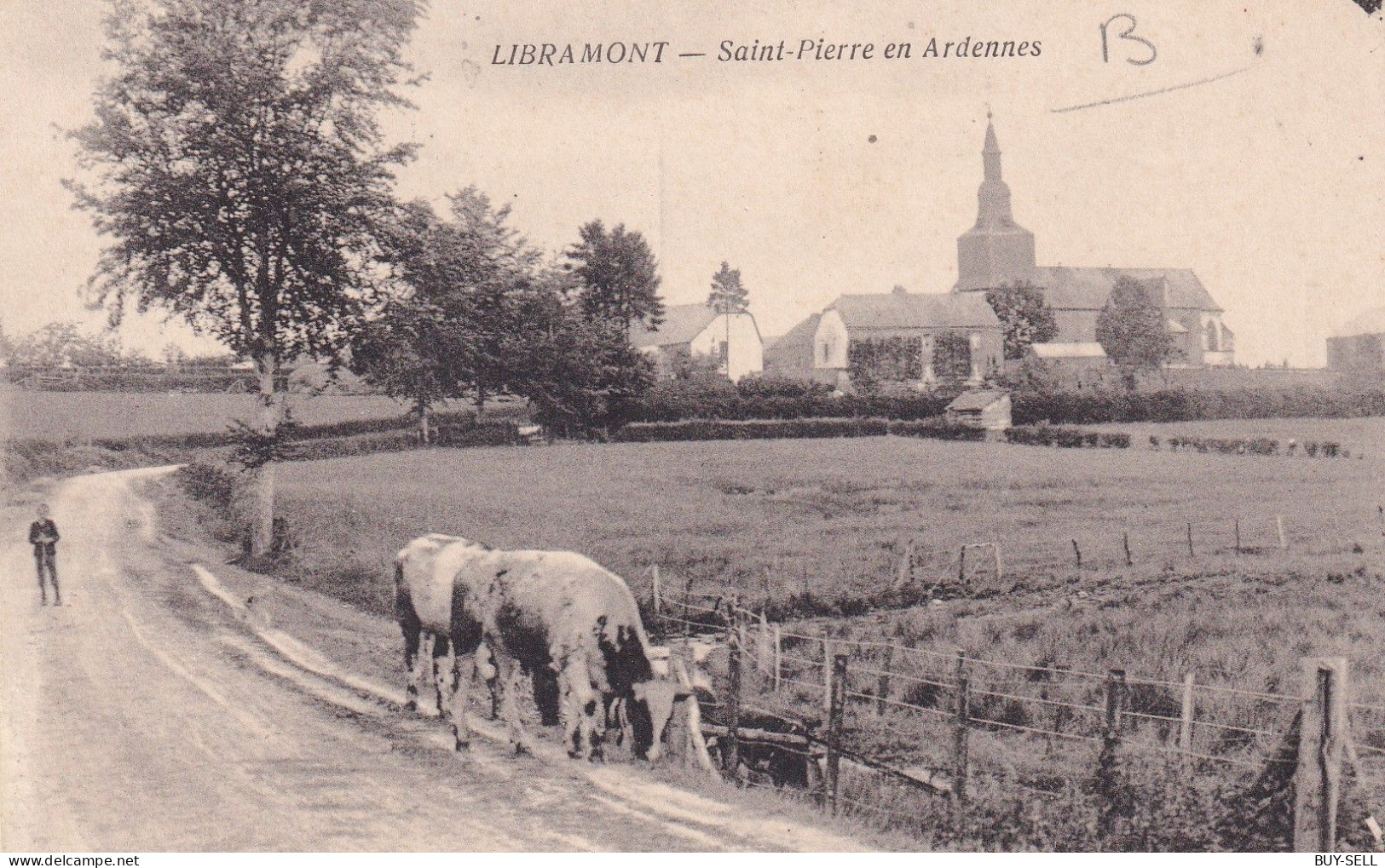 BELGIQUE - LIBRAMONT - Saint-Pierre En Ardennes - 1919 - Libramont-Chevigny