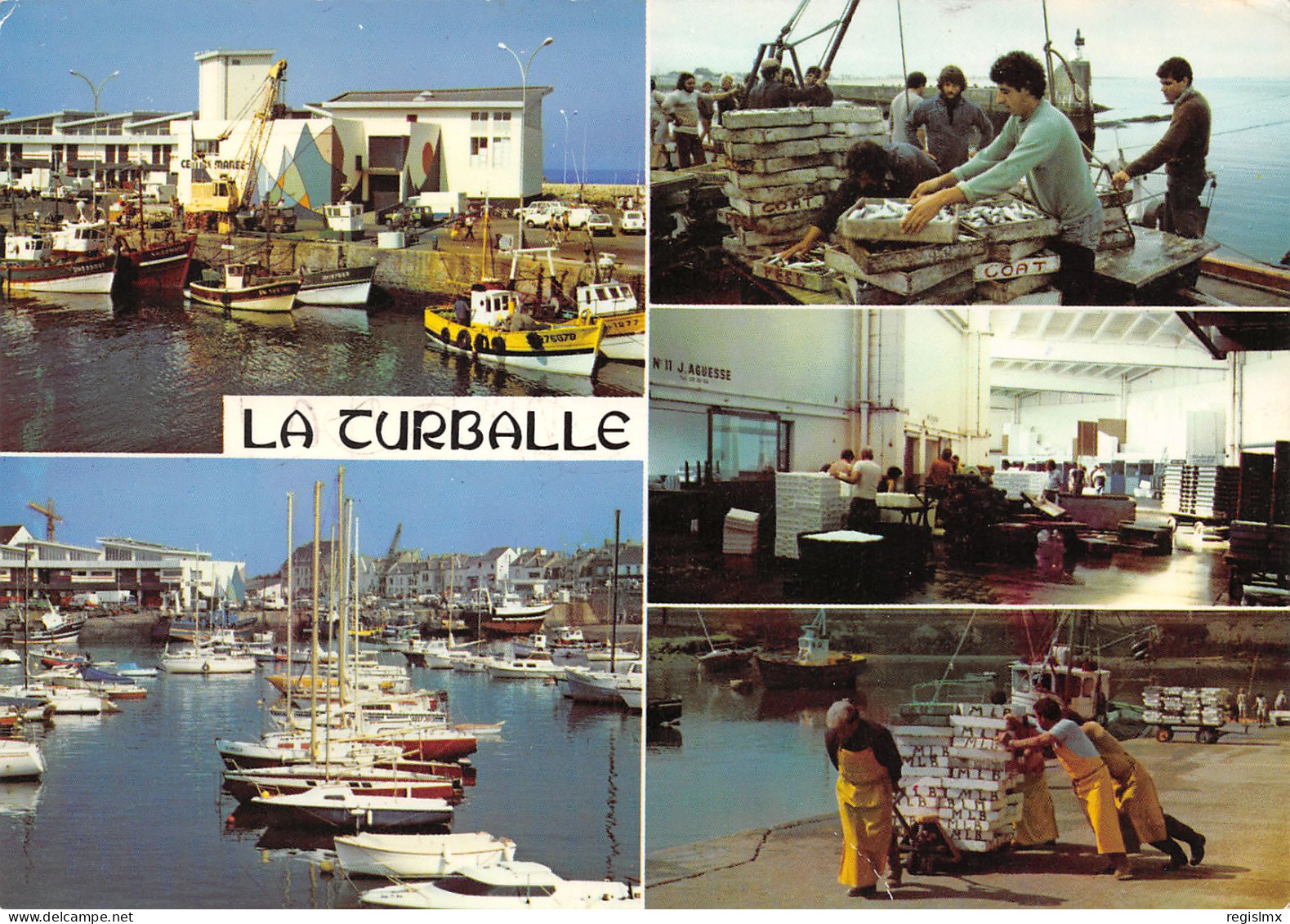 44-LA TURBALLE-N°3453-B/0313 - La Turballe
