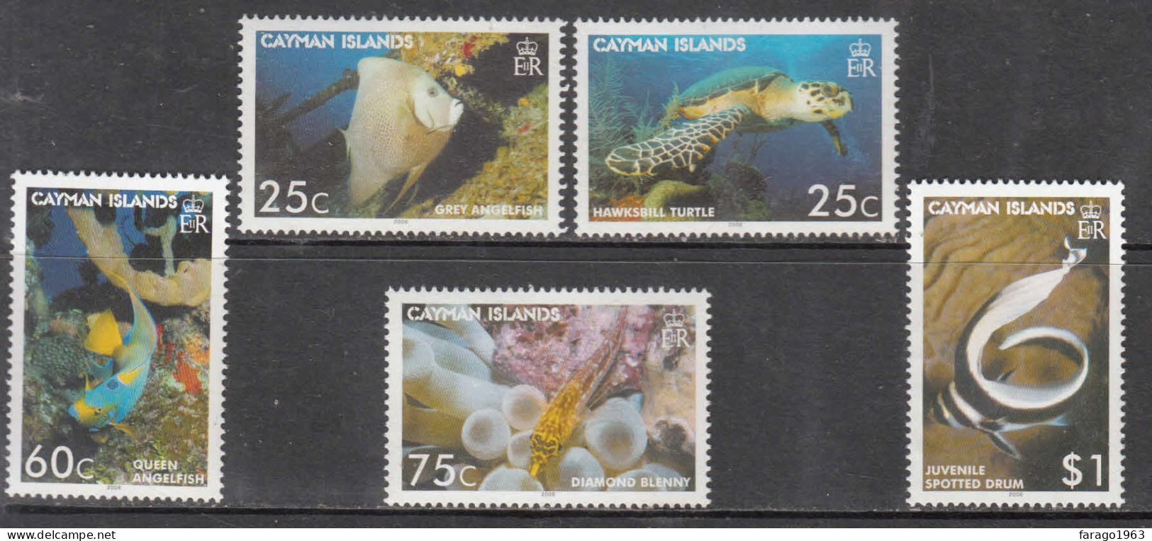 2006 Cayman Islands Miarine Life Fish Turtles Complete Set Of 5 MNH - Cayman (Isole)