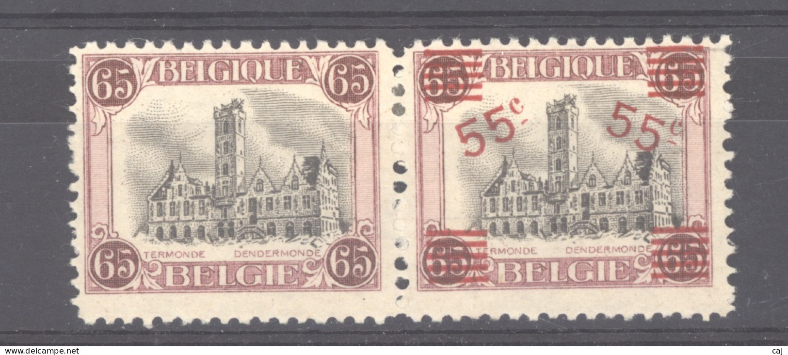 BE 0405  -  Belgique  :  COB 188A   * - 1915-1920 Alberto I