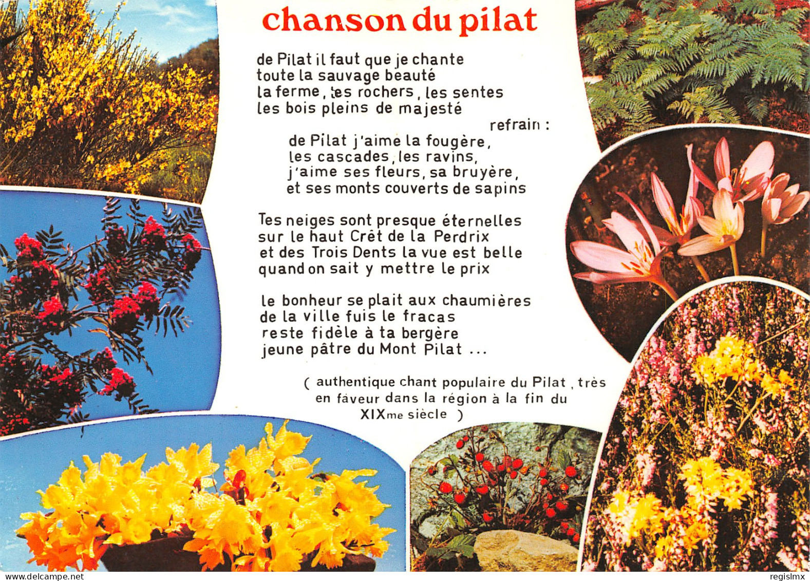 42-MONT PILAT-N°3458-D/0099 - Mont Pilat