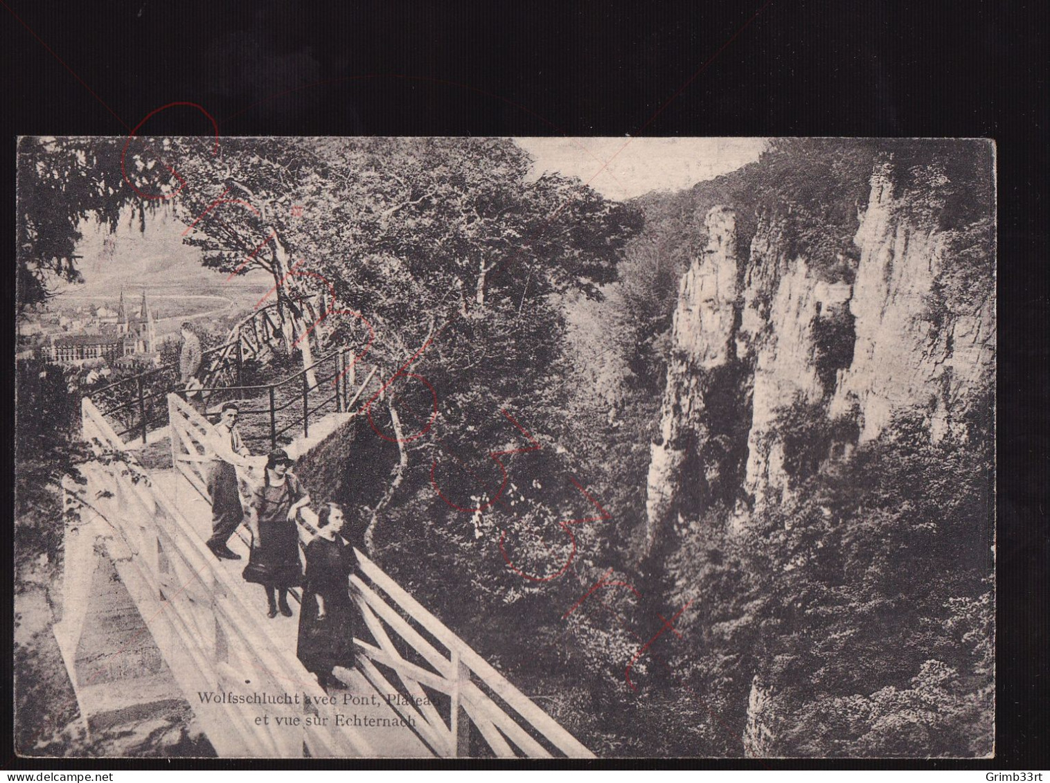 Wolfsschlucht Avec Pont, Plateau Et Vue Sur Echternach - Postkaart - Echternach