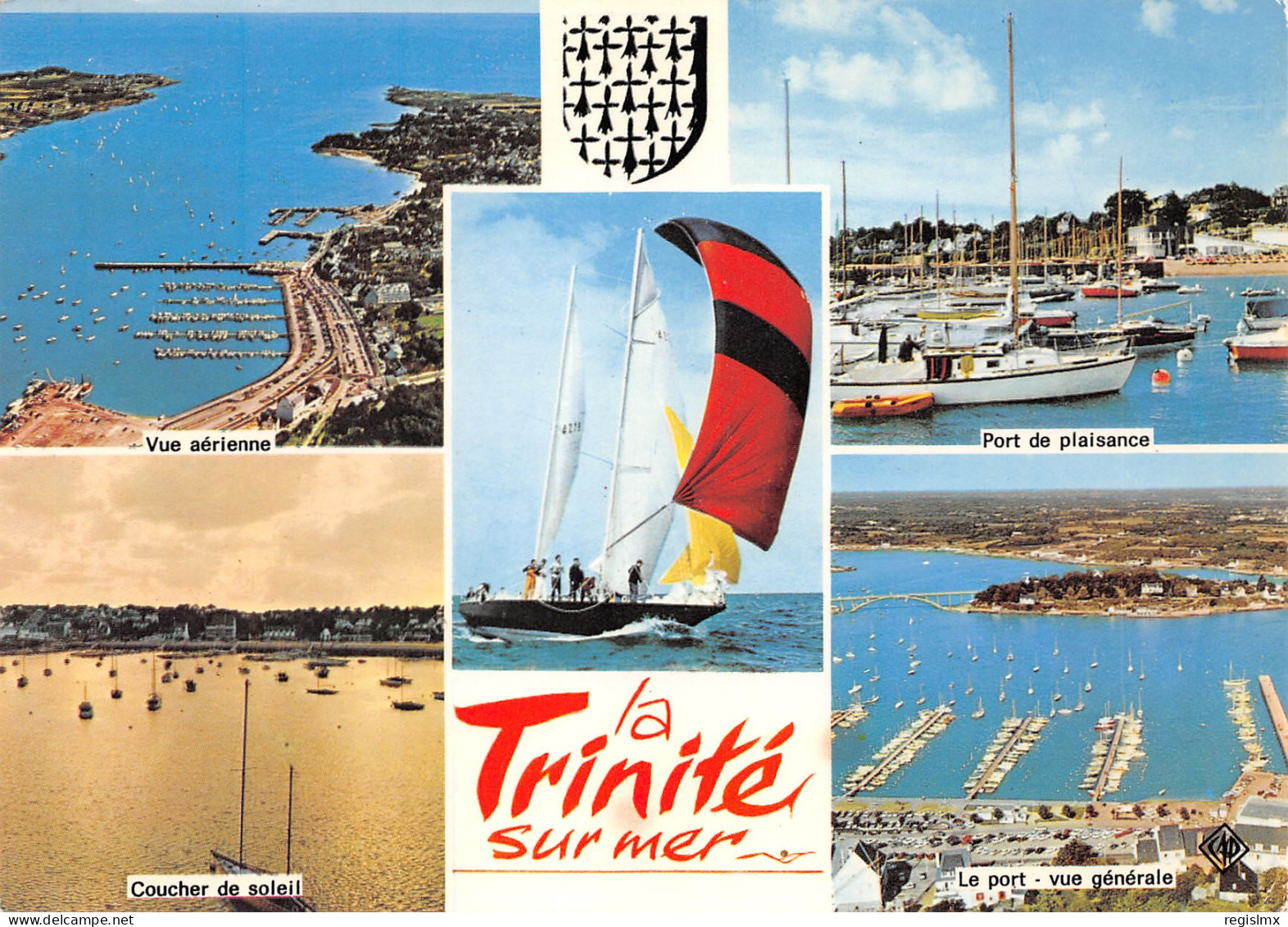 56-LA TRINITE SUR MER-N°3462-C/0381 - La Trinite Sur Mer