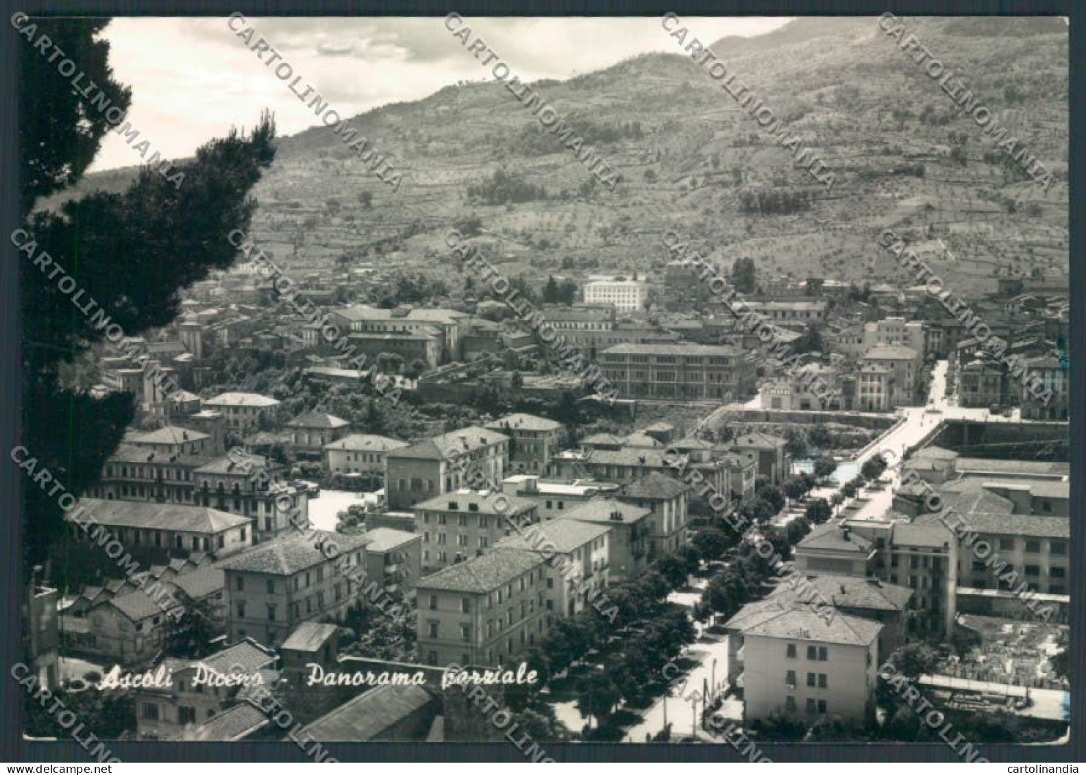 Ascoli Piceno Città Foto FG Cartolina ZF6012 - Ascoli Piceno