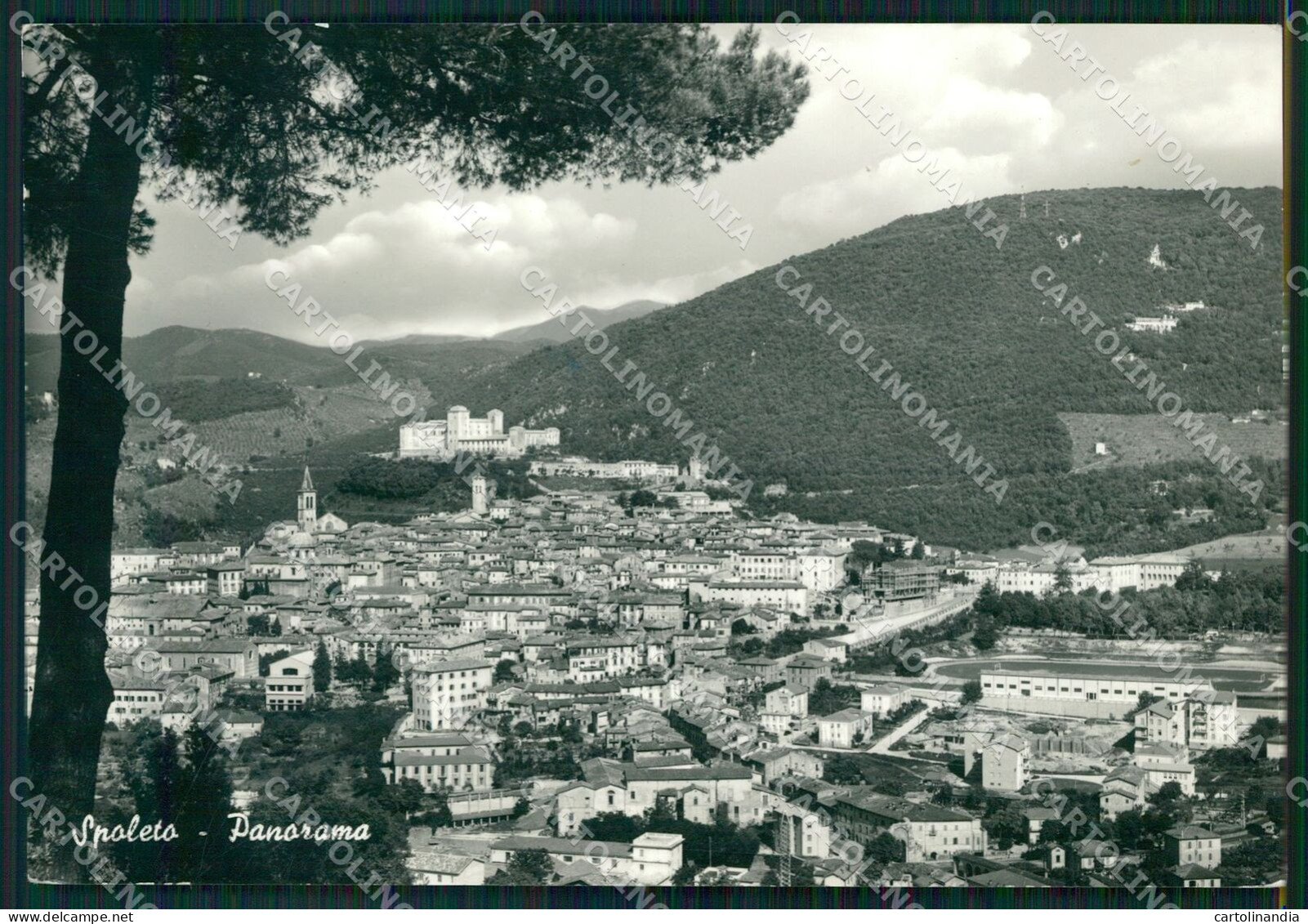 Perugia Spoleto FG Foto Cartolina KB4853 - Perugia