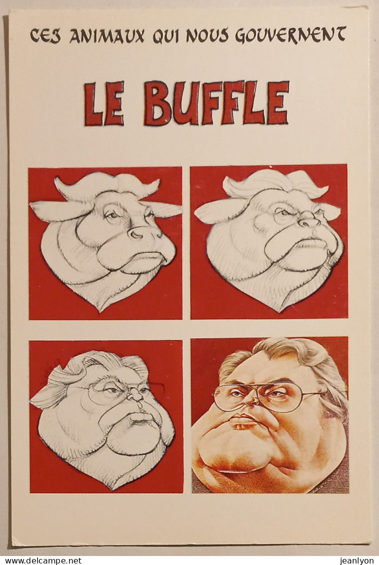 POLITIQUE - PIERRE MAUROY - Caricature / Animaux Qui Nous Gouvernent - Buffle - Sátiras