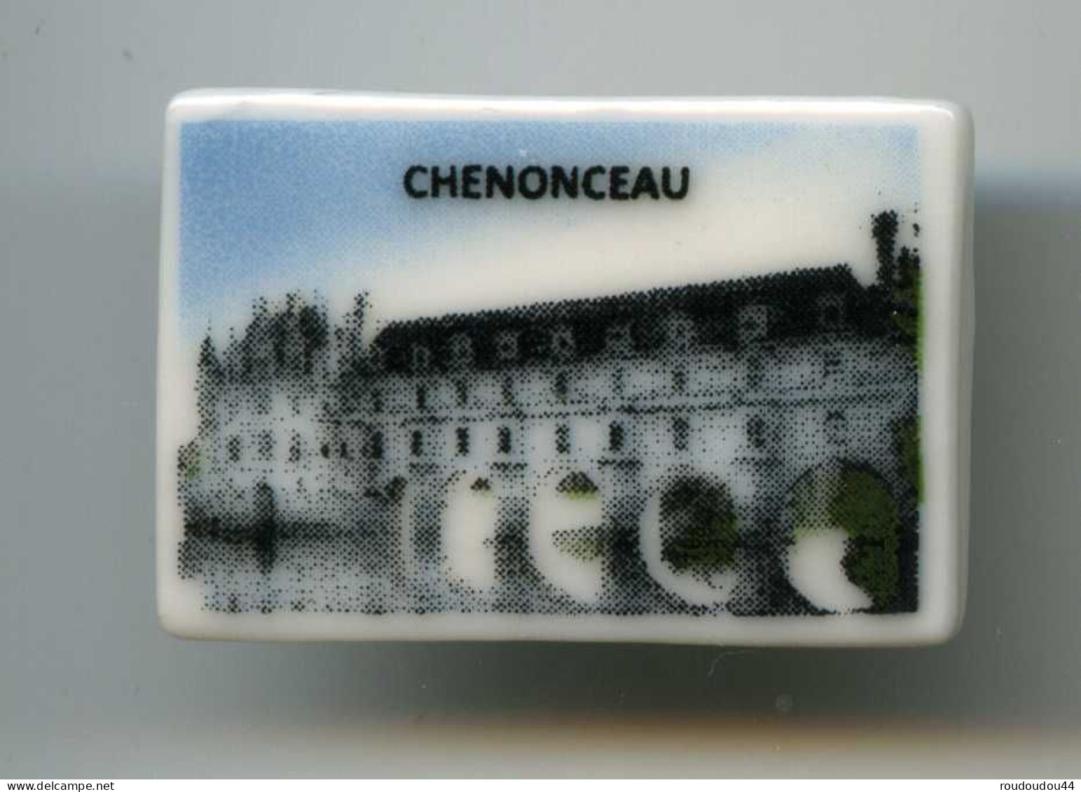 FEVES  - FEVE - CHATEAU DE CHENONCEAU - Région