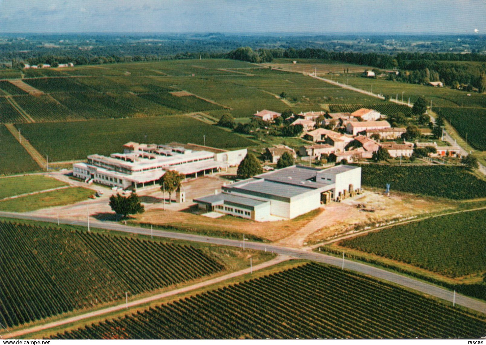 CPM - P - GIRONDE - LUSSAC - LES PRODUCTEURS REUNIS DE PUISSEGUIN - ST EMILION - LUSSAC ST EMILION - CELLIER DES 3 CAVES - Sonstige & Ohne Zuordnung