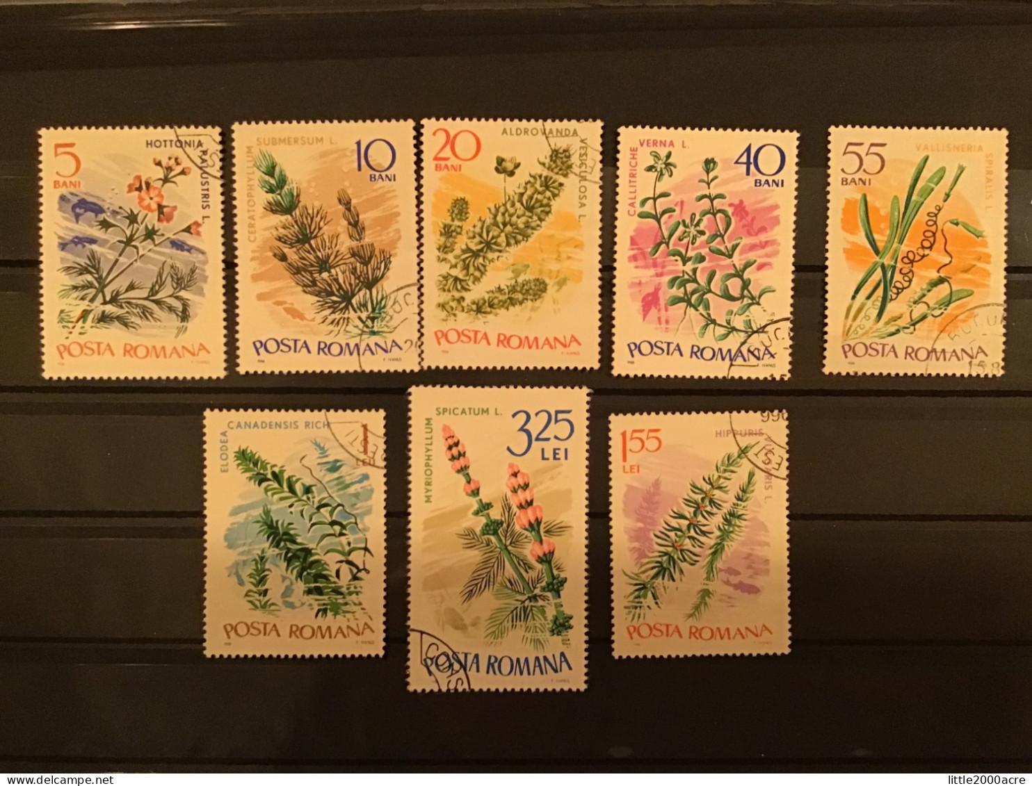 Romania 1966 Aquatic Flora Used SG 3397-3404 Yv 2230-7 Mi 2525-32 - Used Stamps