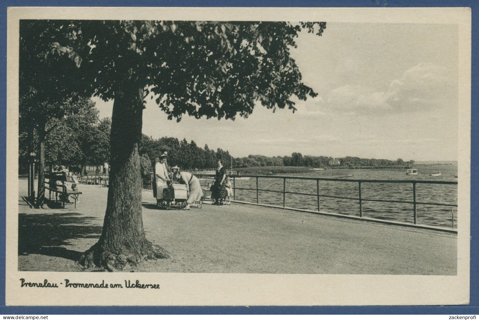 Prenzlau Promenade Am Uckersee, Gelaufen 1943 (AK1816) - Prenzlau