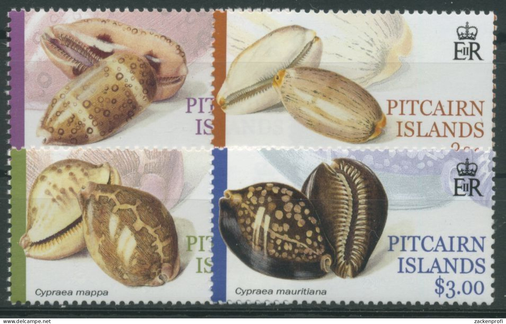 Pitcairn 2001 Meerestiere Porzellenschnecken 596/99 Postfrisch - Pitcairninsel
