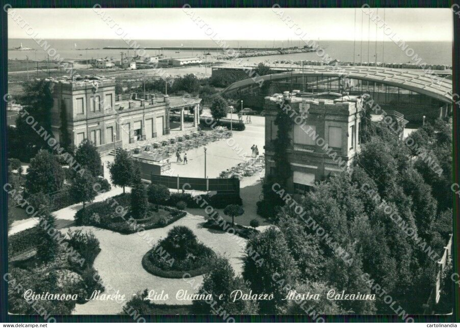 Macerata Civitanova Marche Palazzo Mostra Calzatura Foto FG Cartolina ZK1168 - Macerata