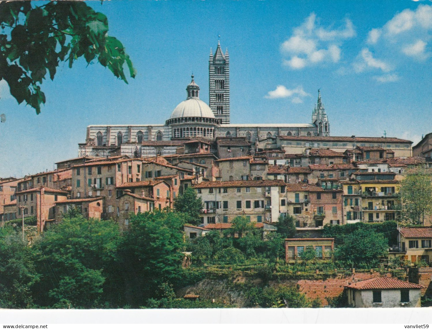 SIENA-PANORAMA CARTOLINA VERA FOTOGRAFIA-VIAGGIATA NEL 1986 - Siena