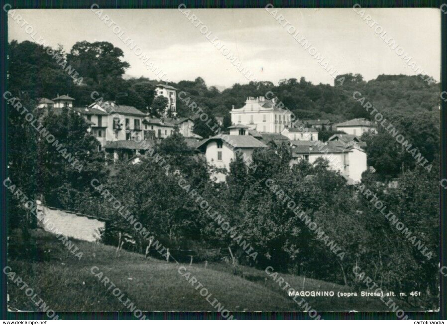 Verbania Stresa Magognino Foto FG Cartolina ZK4197 - Verbania