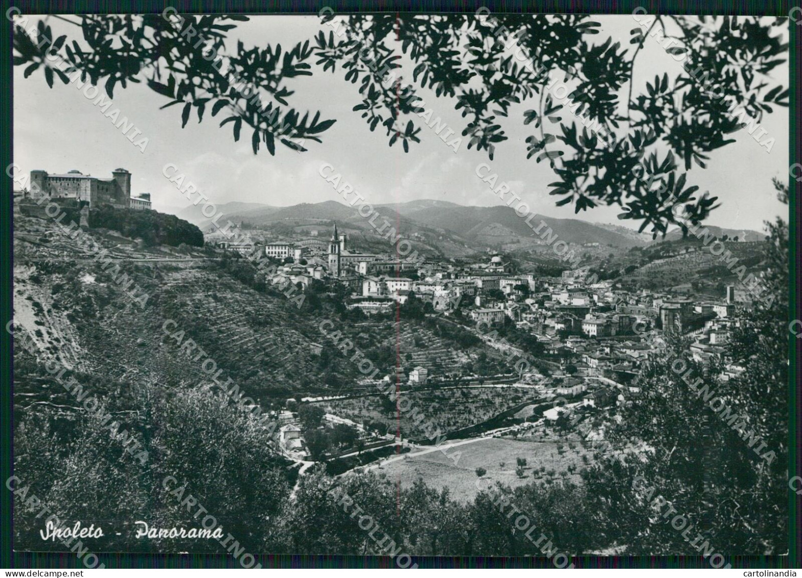 Perugia Spoleto FG Foto Cartolina KB4867 - Perugia