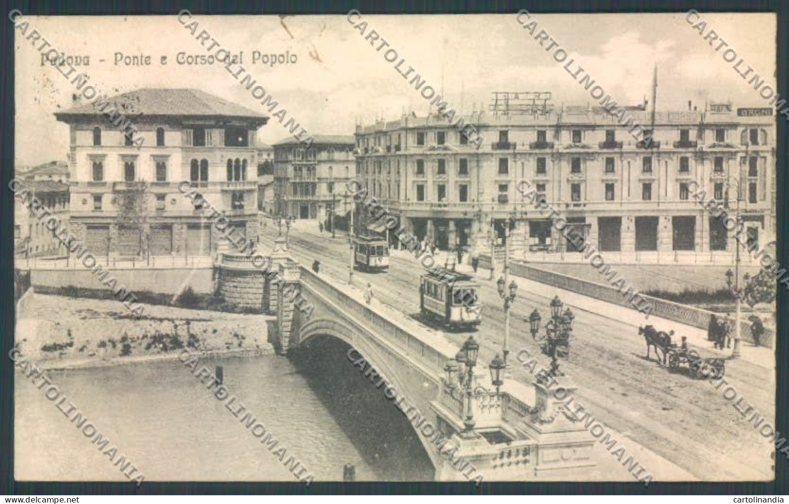 Padova Città Tram Cartolina ZQ2431 - Padova (Padua)