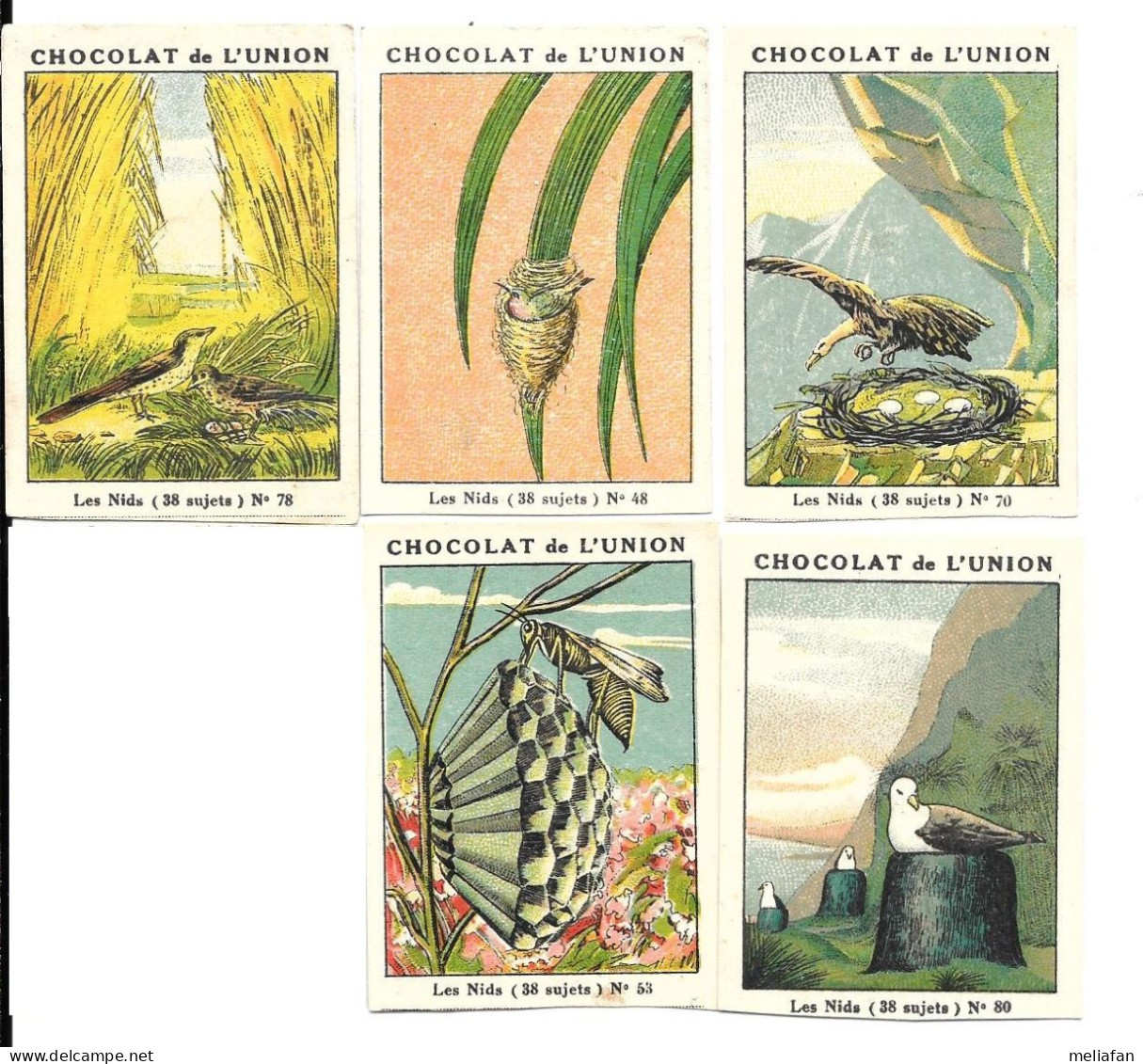 AC64 - IMAGES CHOCOLAT UNION - LES NIDS - OISEAUX - INSECTES - AUTRES N°s DISPONIBLES - Other & Unclassified