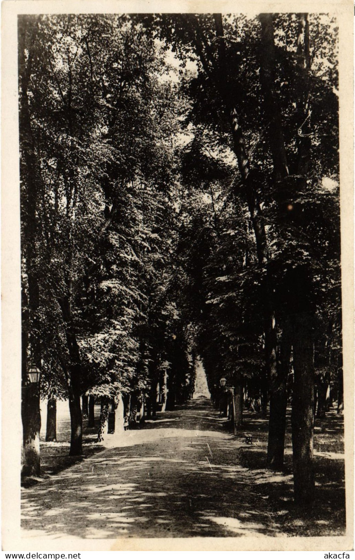 CPA Mantes Promenade De L'Ile Aux Dames (1401958) - Mantes La Jolie