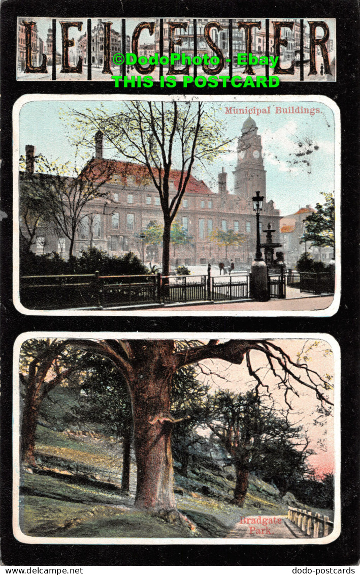 R407929 Leicester. Municipal Buildings. Bradgate Park. H. G. L. Multi View. 1909 - Welt