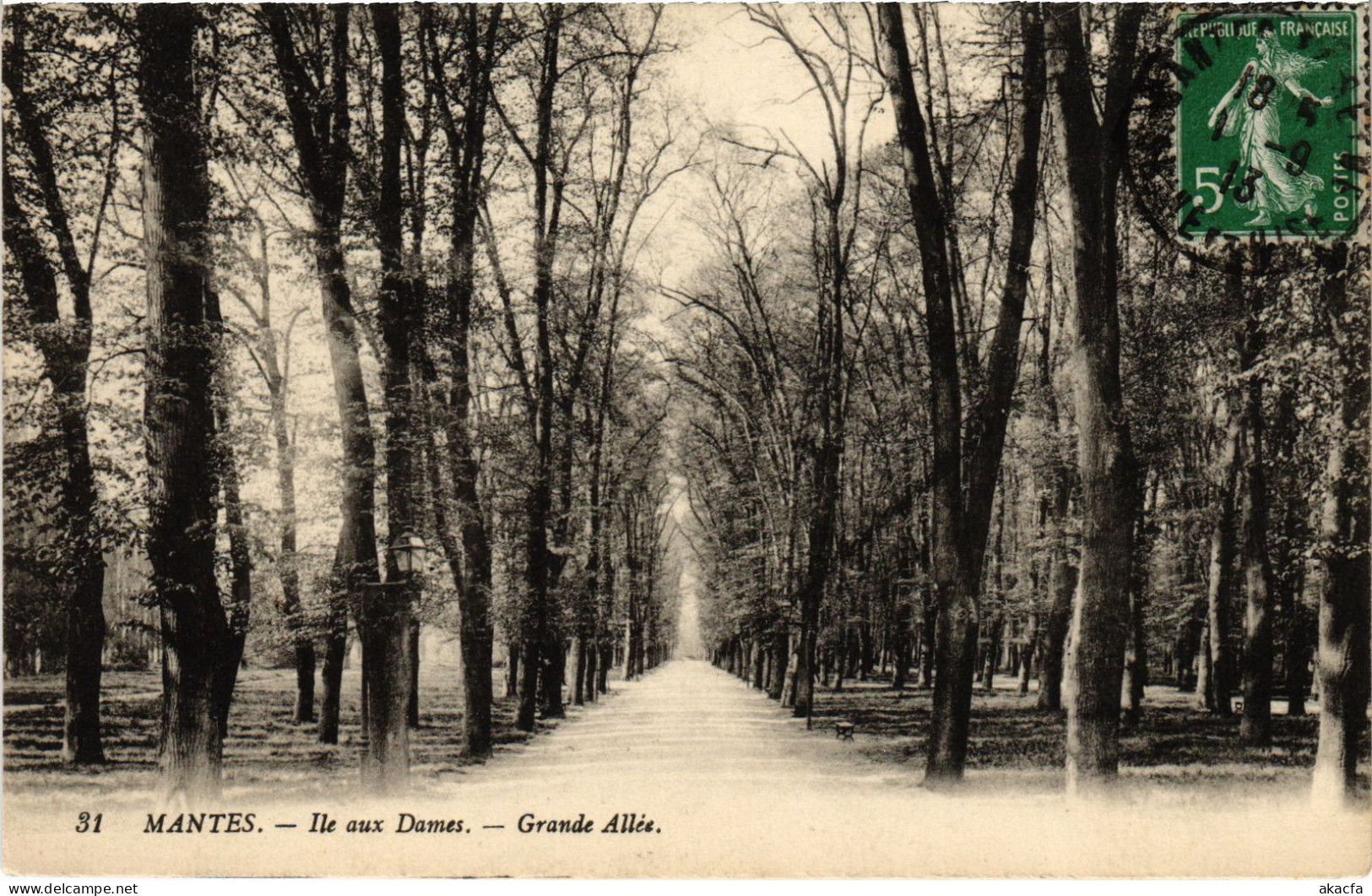 CPA Mantes Ile Aux Dames Grande Allee (1402111) - Mantes La Jolie