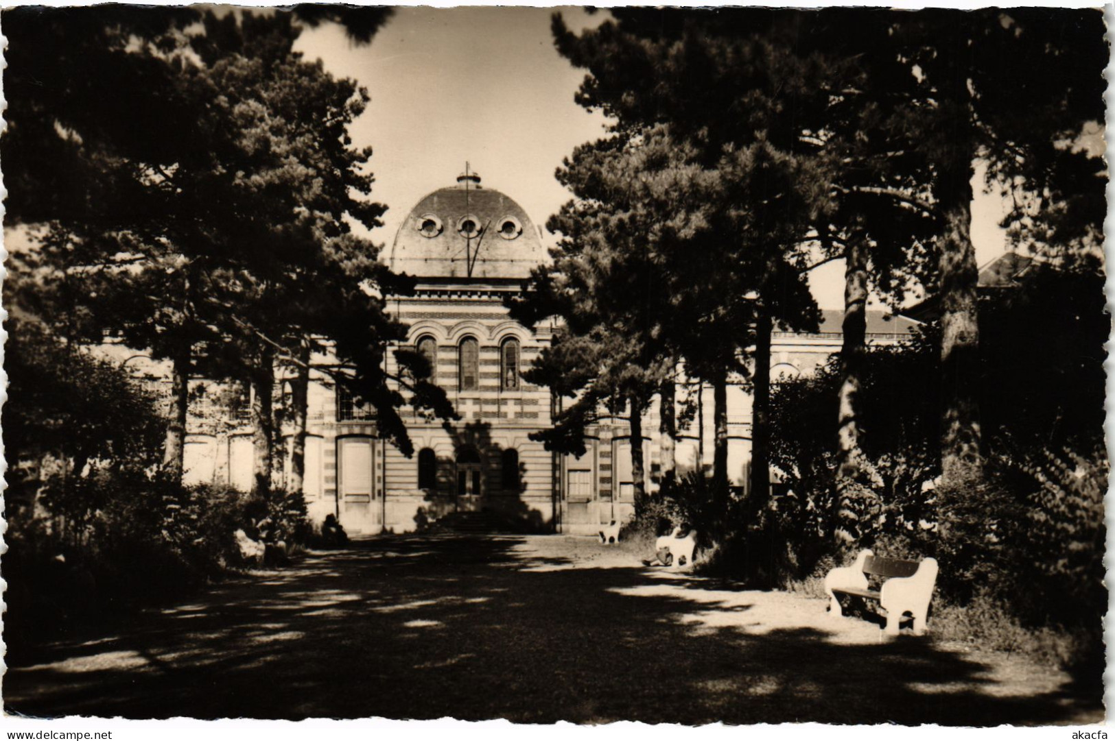 CPA Le Vesinet Le Parc Allee Des Pins (1402539) - Le Vésinet