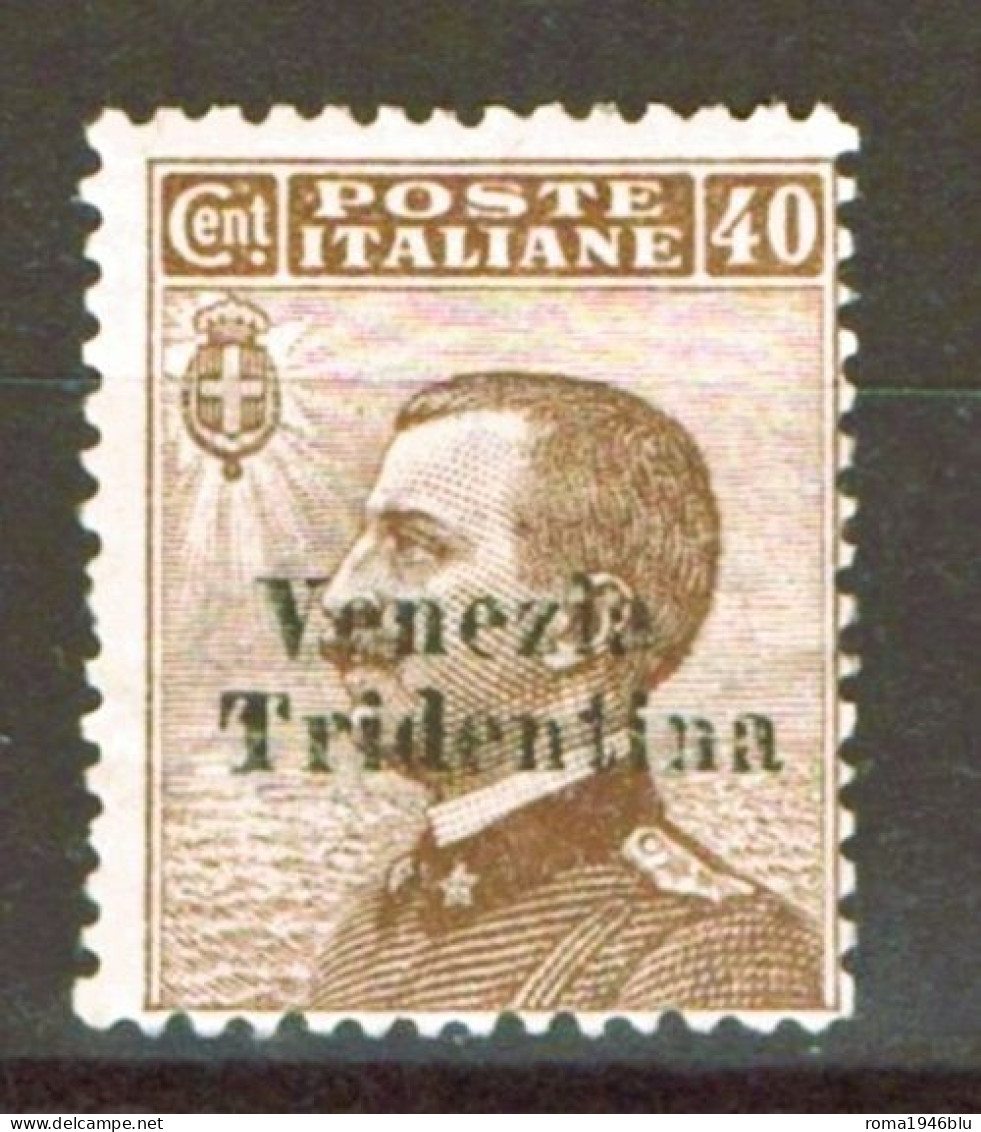 TRENTINO 1918 40 CENTESIMI SOP.TI VENEZIA TRIDENTINA ** MNH - Trente