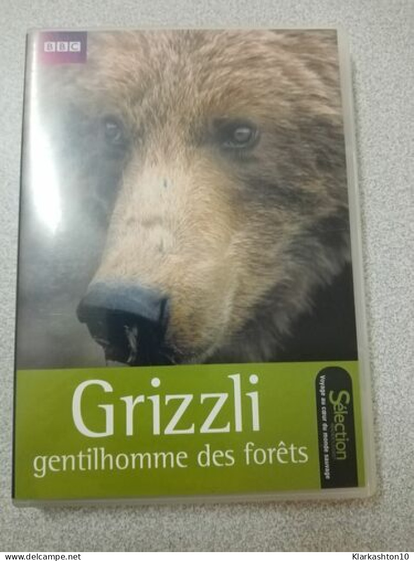DVD - Grizzli Gentilhomme Des Forêts - Autres & Non Classés