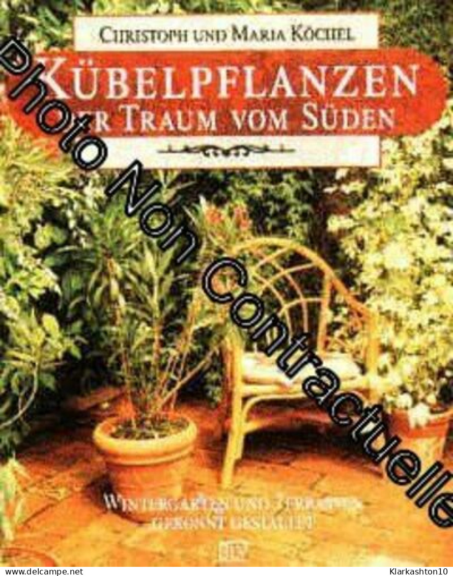 Kubelpflanzen Der Traum Vom Suden - Wintergarten Und Terrassen Gekonnt Gestalten - Other & Unclassified
