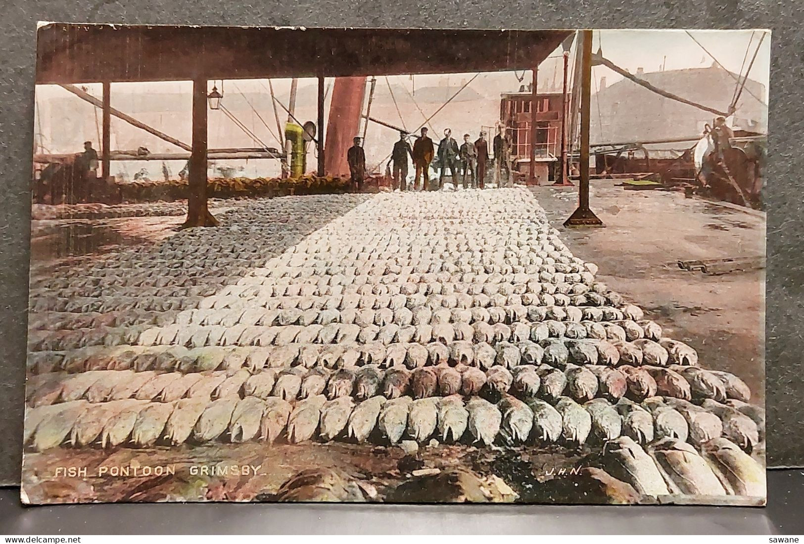FISH PONTOON GRIMSBY , LOT 186 - Autres & Non Classés