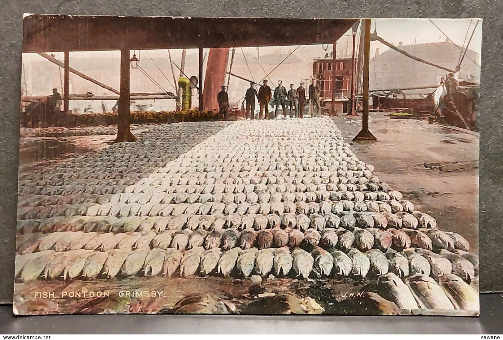 FISH PONTOON GRIMSBY , LOT 186 - Andere & Zonder Classificatie