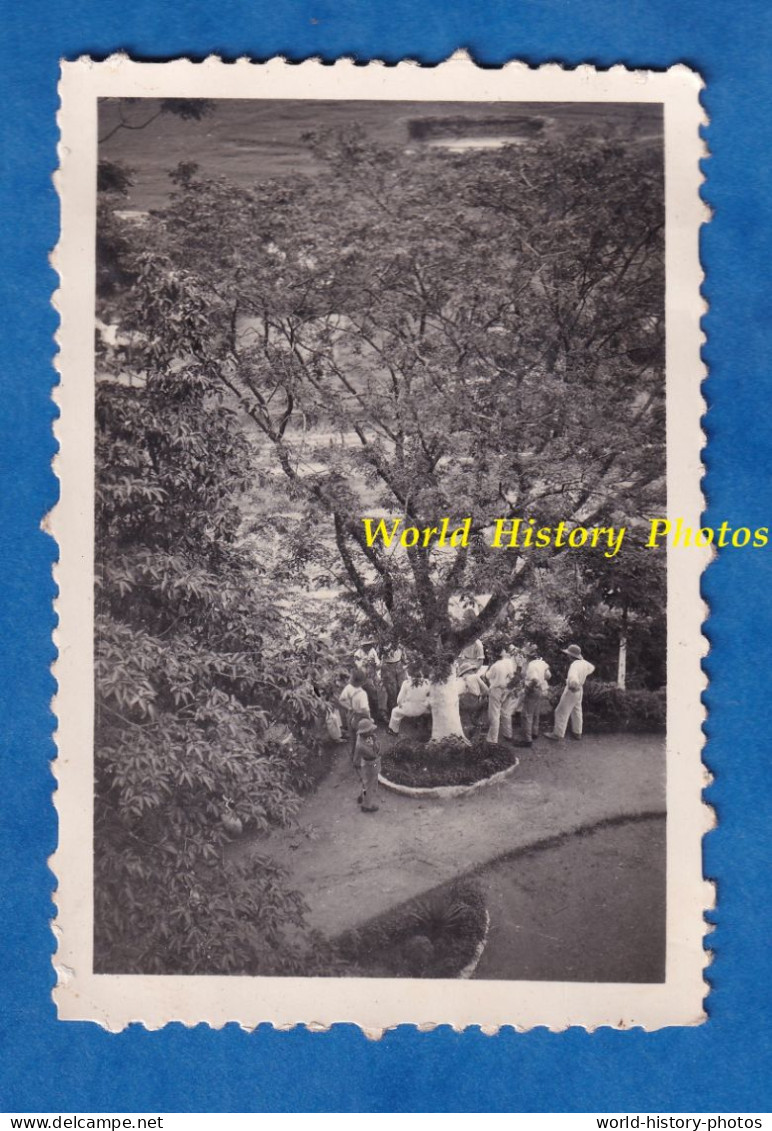 Photo Ancienne Snapshot - DAP CAU ( Tonkin ) - Infirmerie Militaire - 1934 - Indochine Arbre Colonial Viet Nam - Asie