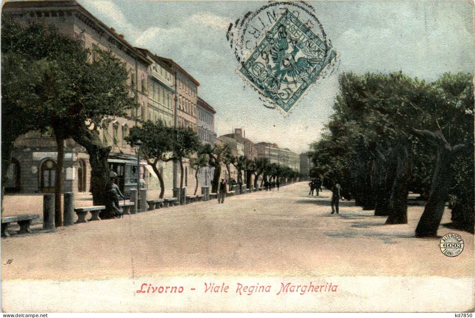 Livorno - Viale Regina MArgherita - Livorno