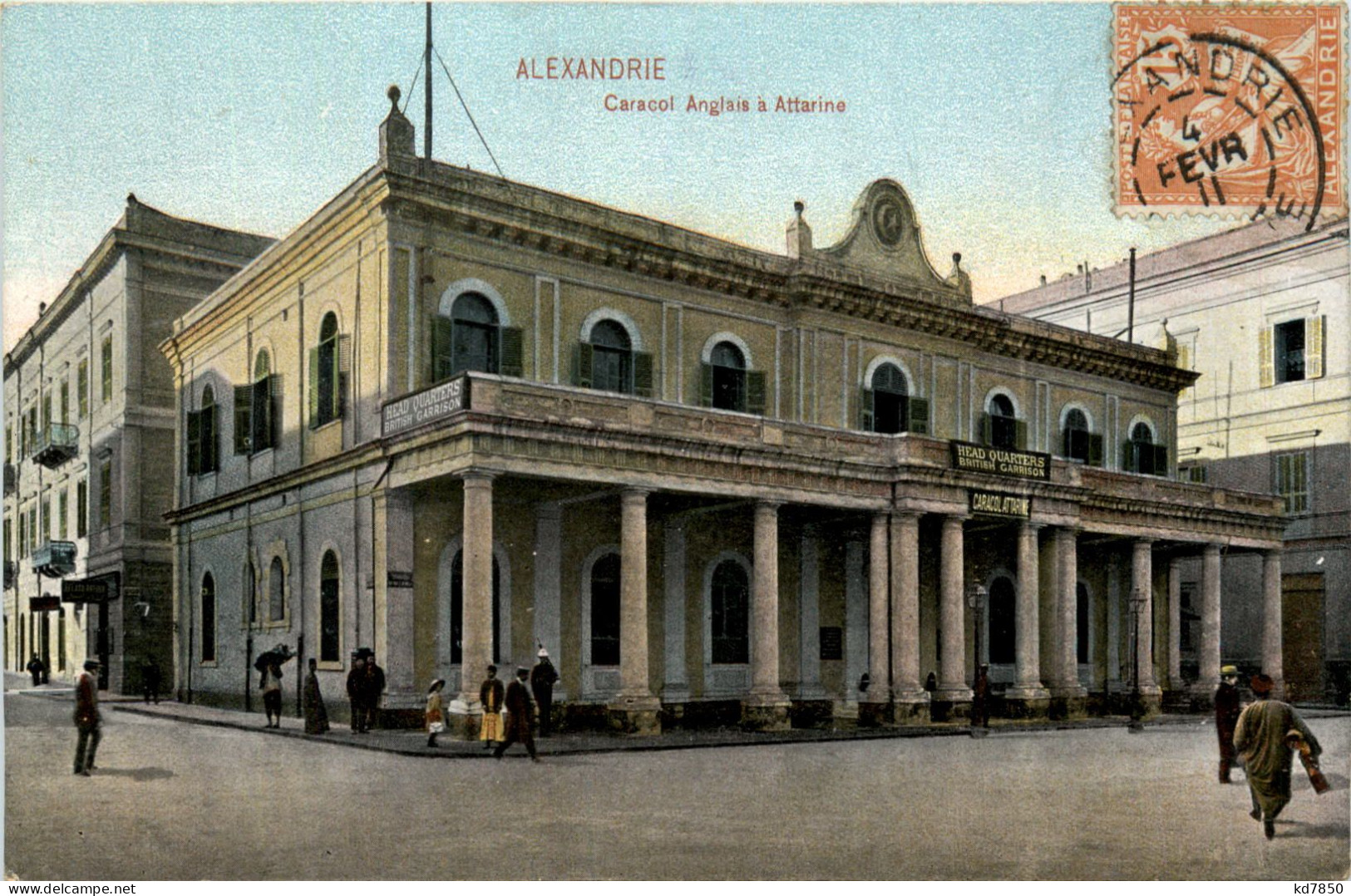 Alexandria - Caracol Anglais - Alexandrie