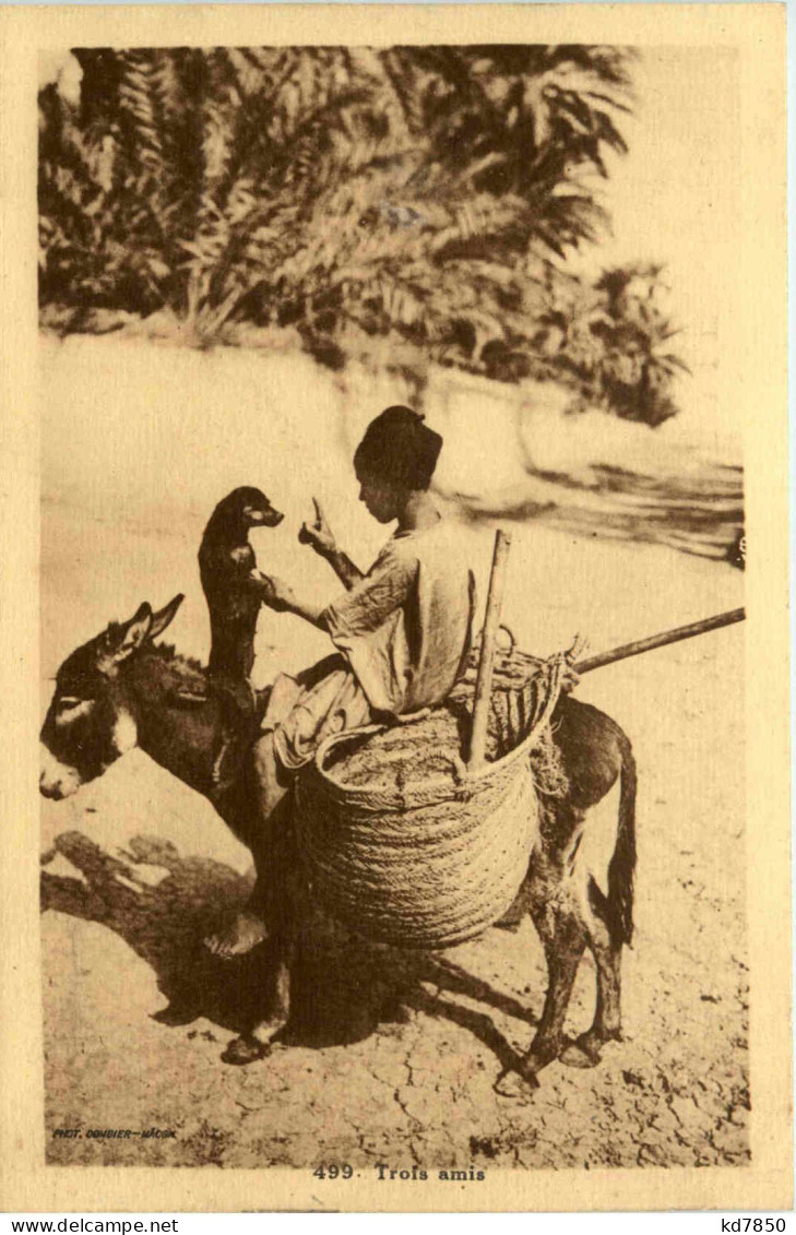 Trois Amies - Tunisie