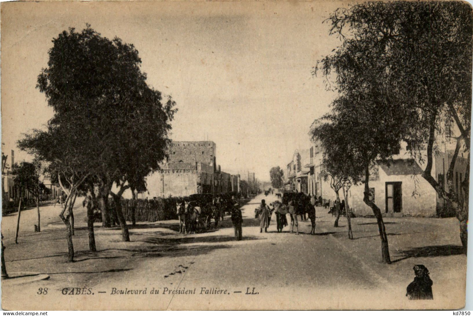 Tunis - Boulevard Du President Falliere - Tunesien