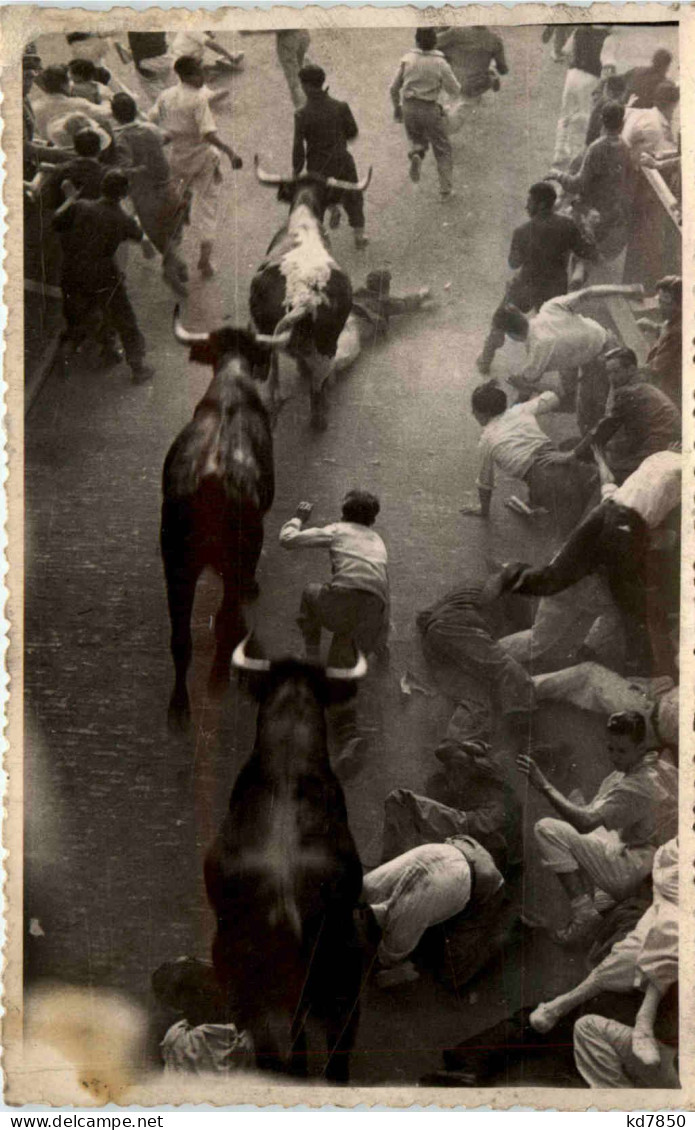 Pamplona - Toros - Navarra (Pamplona)