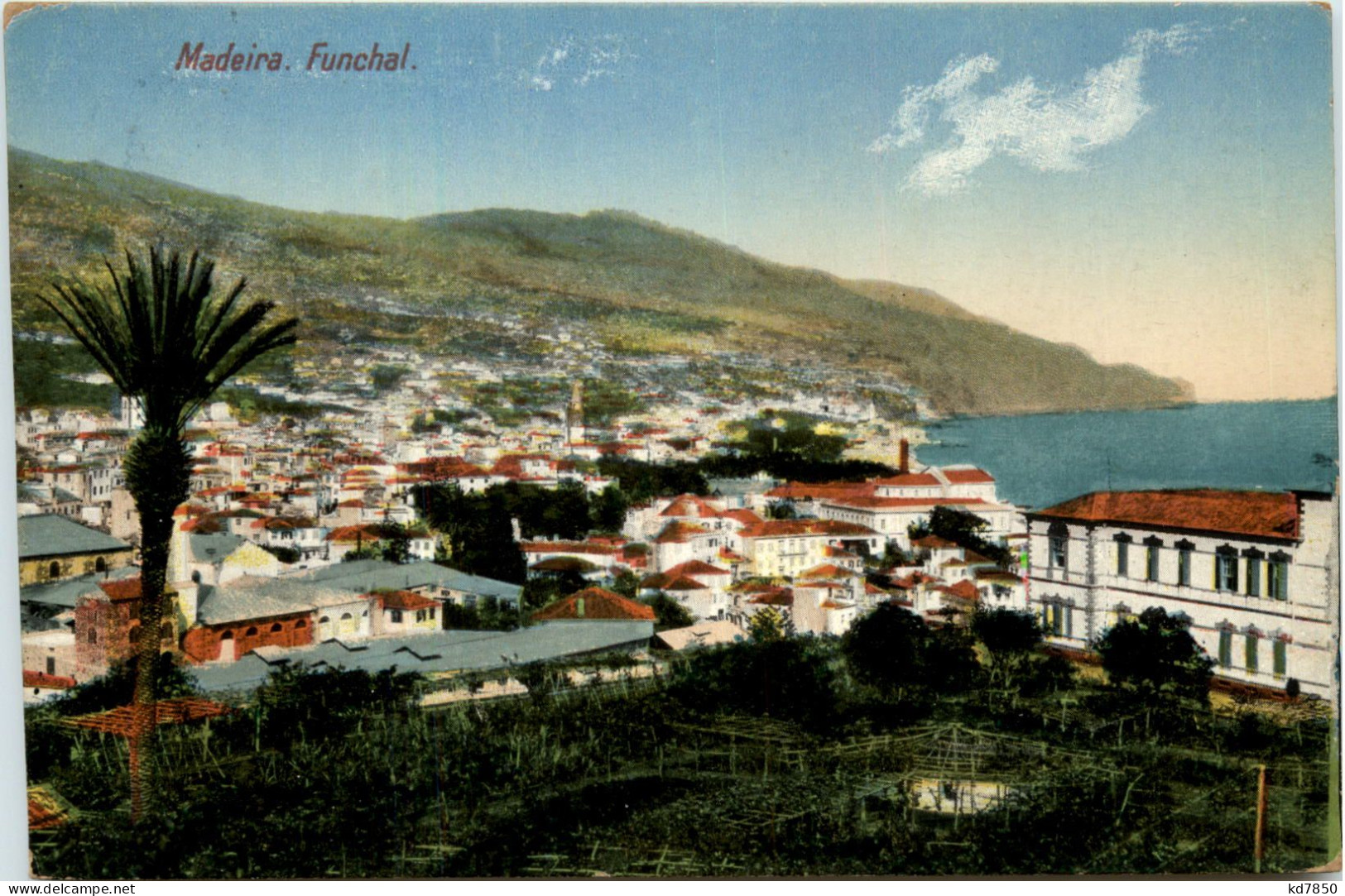 Madeira - Funchal - Madeira