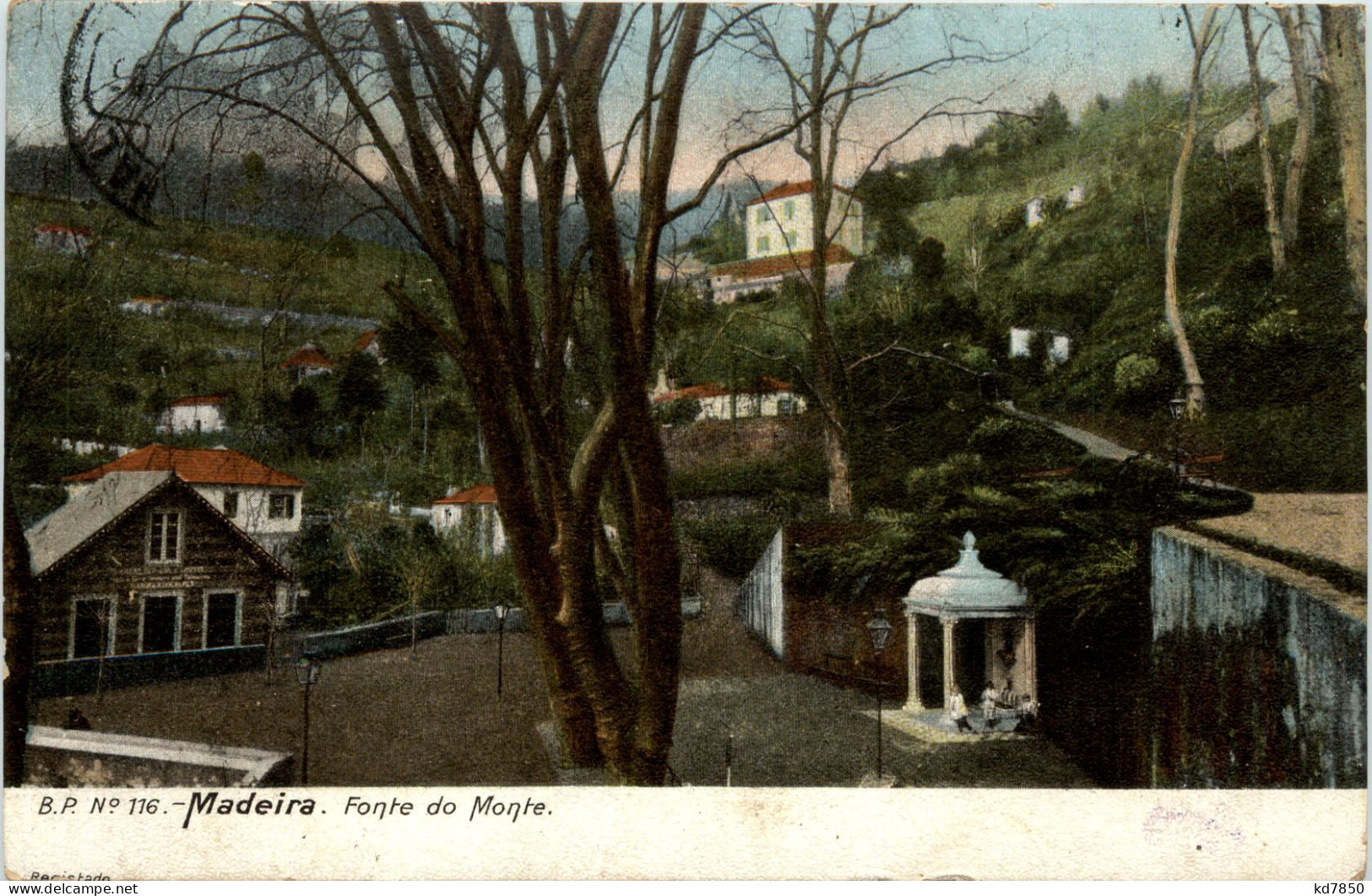 Madeira - Fonto Do Monte - Madeira